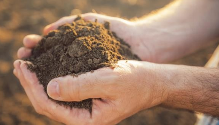 稀土礦多少錢(qián)一噸？現(xiàn)在是漲了還是降了？